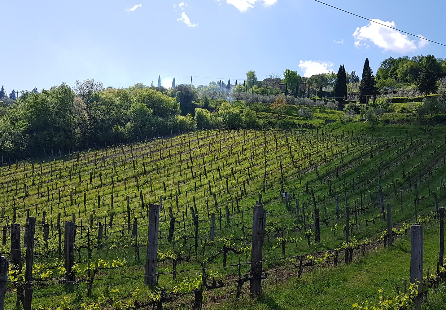 tuscany winery