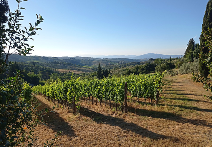 wine tasting tuscany