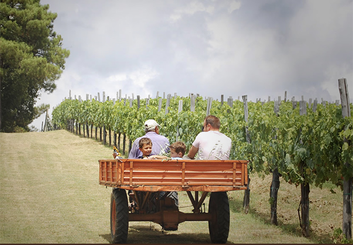 wine tasting tuscany