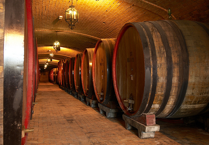 cortona winery