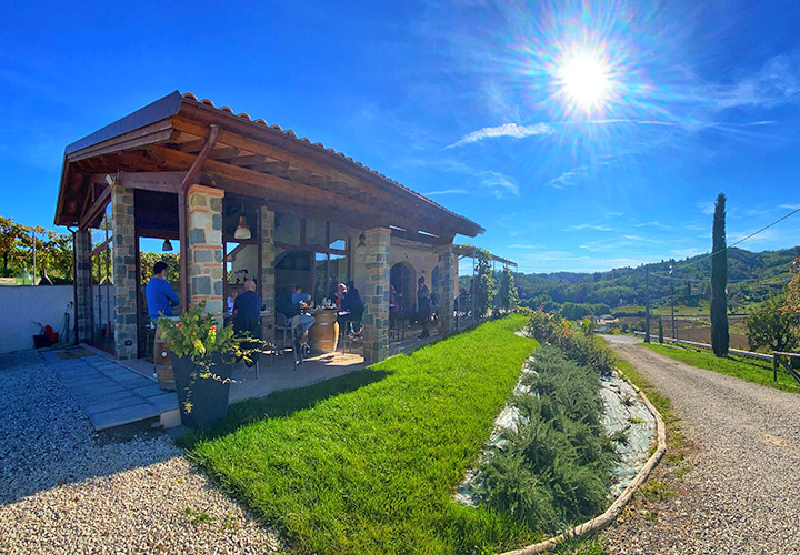 migliori cantine Lucca da visitare con degustazione vini lucca 