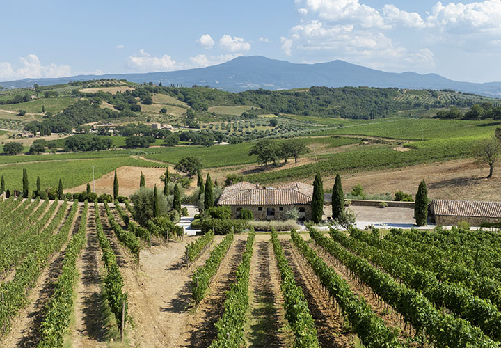 migliori cantine in toscana